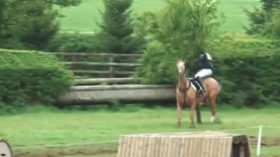 Лошадке надоело