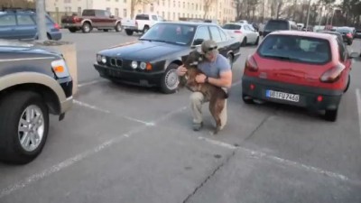 Dog Welcomes Home Soldier...Again
