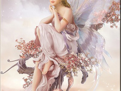 Фея утренней звезды.