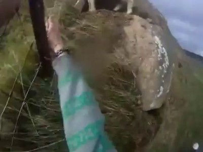 пиздец помог