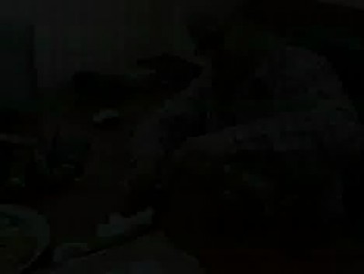 как пьют профессионалы