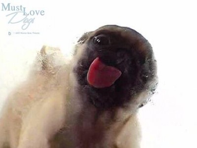 Чистка монитора