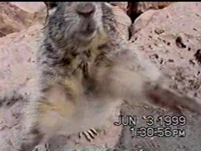 дай посмотреть камеру