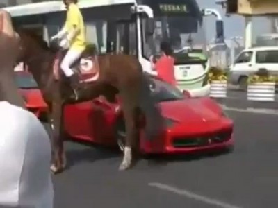 Эта лошадь  не любит Ferrari .