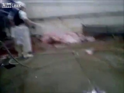 Скотобойня