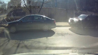 Ворона-самоубийца