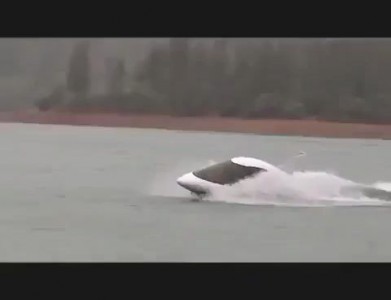 Лодка - Акула