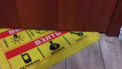 Кот ворует коврик...