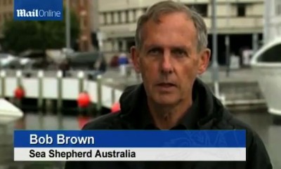 Убийство китов