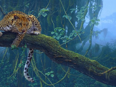 Эпиграф"Девушка  и дикая кошка"