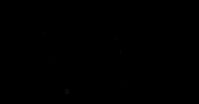 Горчица шутка