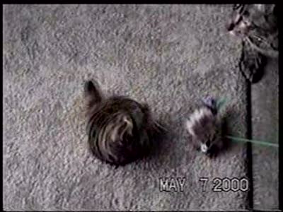 Белое солнце пустыни 2