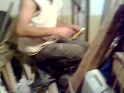 Плюшкиным посвящается.