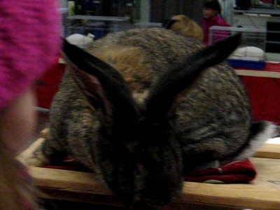 Барон де Ариньяк Бенатонн