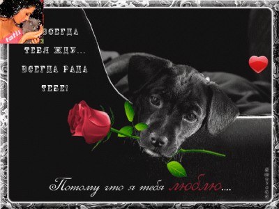 ТЫ САМЫЙ ЛУЧШИЙ МОЙ МАЛЫШ