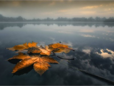 По тебе скучаю