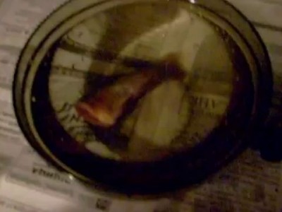 Жизнь без головы