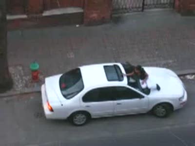 Милые бронятся