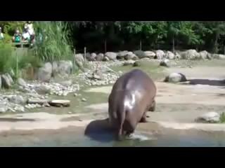 Вброс говна на вентилятор.