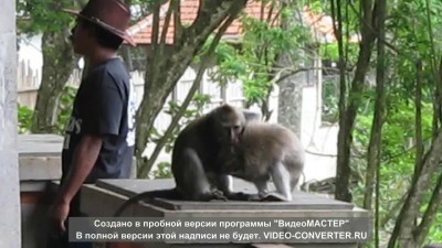 Так и живут)))