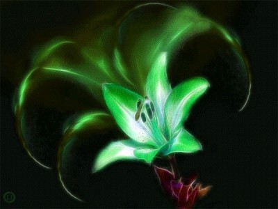 Волшебство