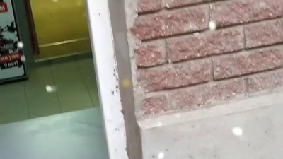 Паук чистит паутину