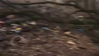 Видео стрельбы непосредственно с места событий