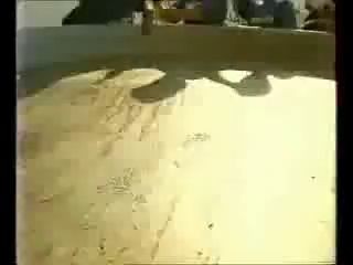 Вилларибо и Виллабаджо1.flv