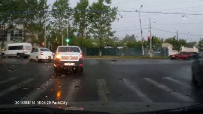 Дерево перешло дорогу