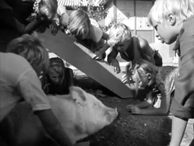 Её надо лааскою!!!