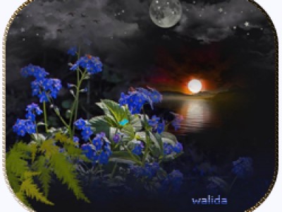 Черная ночь.