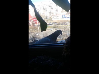 Зачем пришел сюда