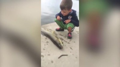 Отхватил "леща"