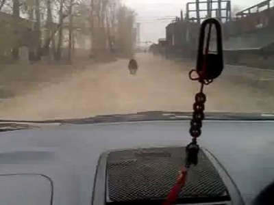 Медведь в г Чита