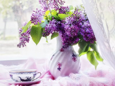 Сиреневая нежность.