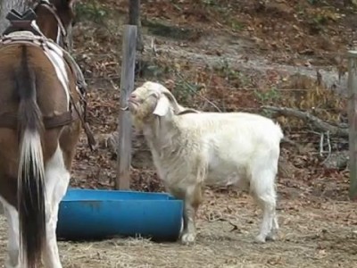 В глаза смотреть!