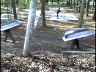 Черепашки н..