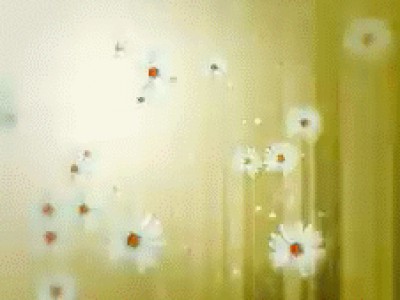 Wedding Tools II 157 Set