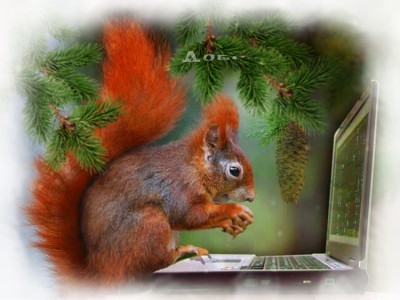 Утро доброе пришло, Пусть все будет хорошо! Посмотри, как мир прекрасен, Разноцветен, весел, ясен!