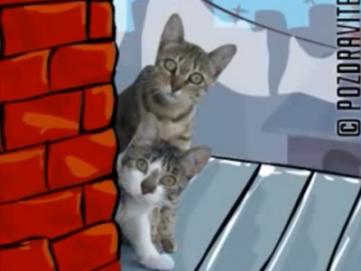 8 Марта Поздравление мартовских котов