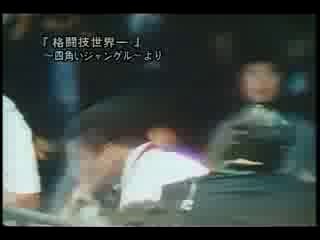 Первый mixfight в истории 