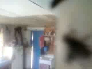 Геноцид мух 2. Подыхай тварь