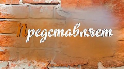 Строим дом своими руками и своими силами (часть 10)