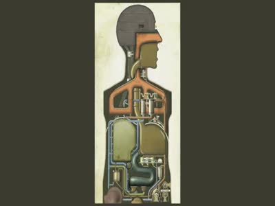 Анатомия для технарей