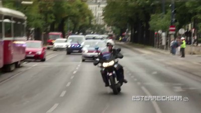 кортеж в вене