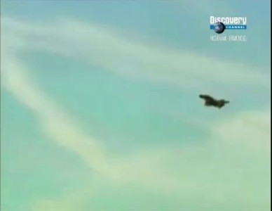 Самолет разбился о стену