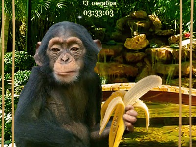 Символ 2016 года. Доброго времени суток!