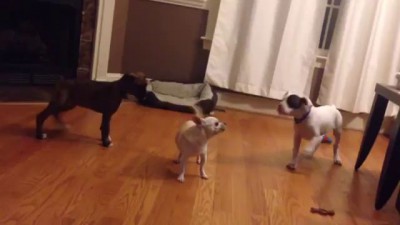 не дали поспать