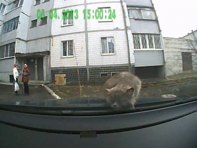 Впечатлительным не смотреть