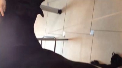 Как прогнать большого пса